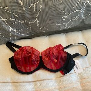 very sexy red bra with delicate lace